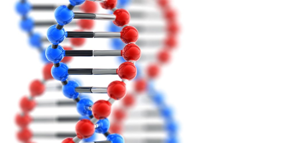 Генетика на белом фоне
