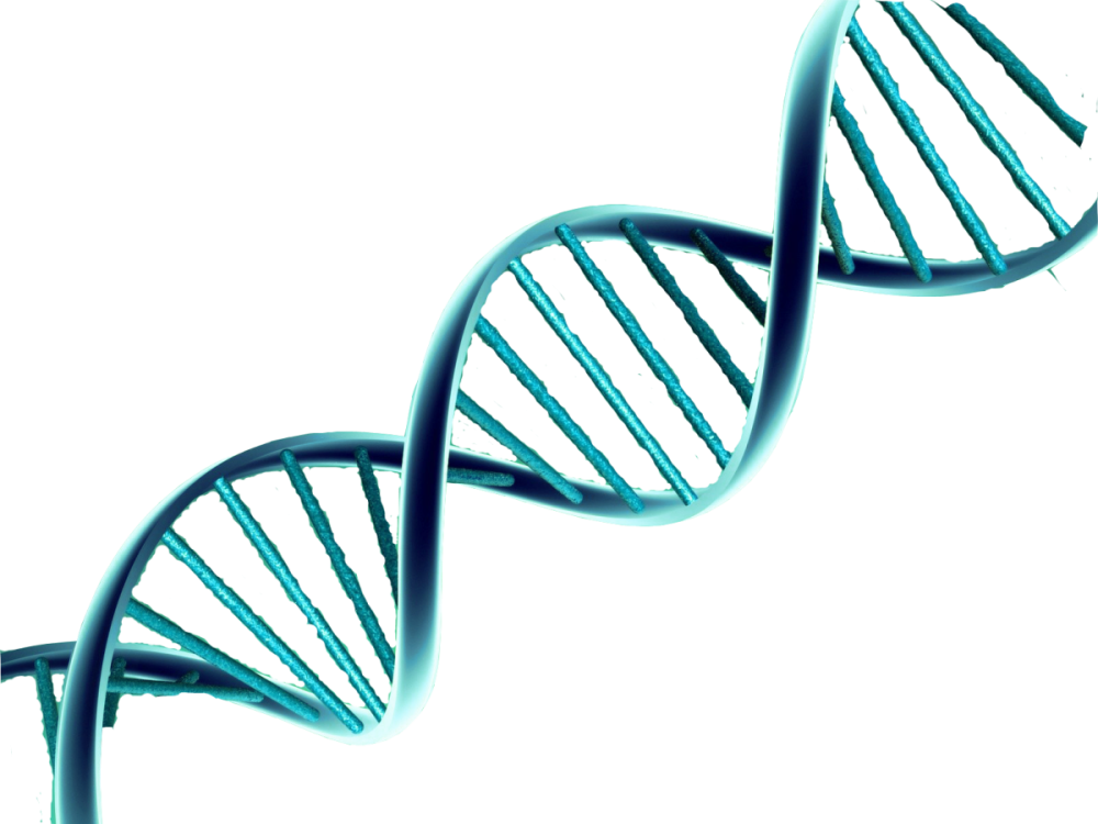 ДНК на прозрачном фоне