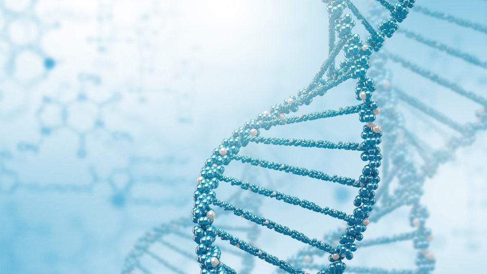 ДНК светлый фон