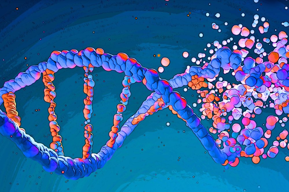 Разрушение ДНК