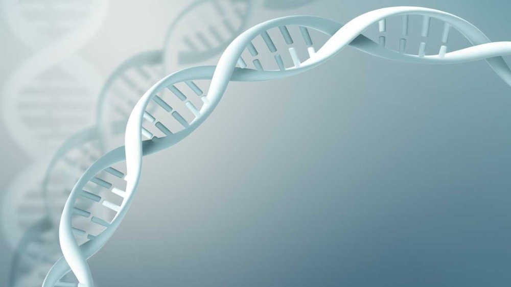 Фон для презентации по генетике