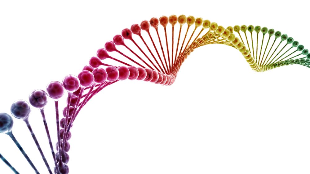 Ген без фона