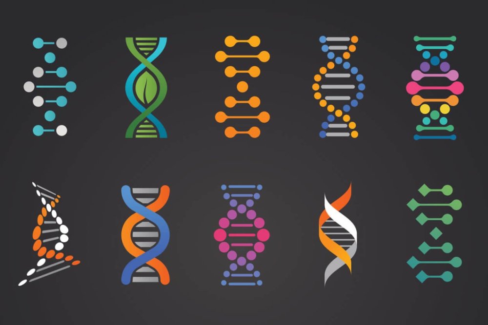 ДНК стилизованная