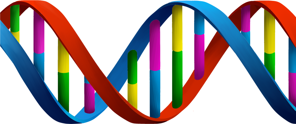 DNA structure PNG