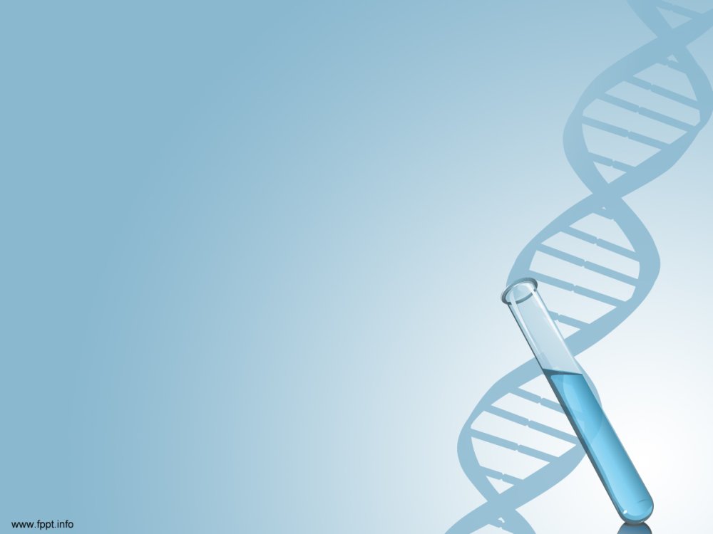 ДНК шаблон для презентации