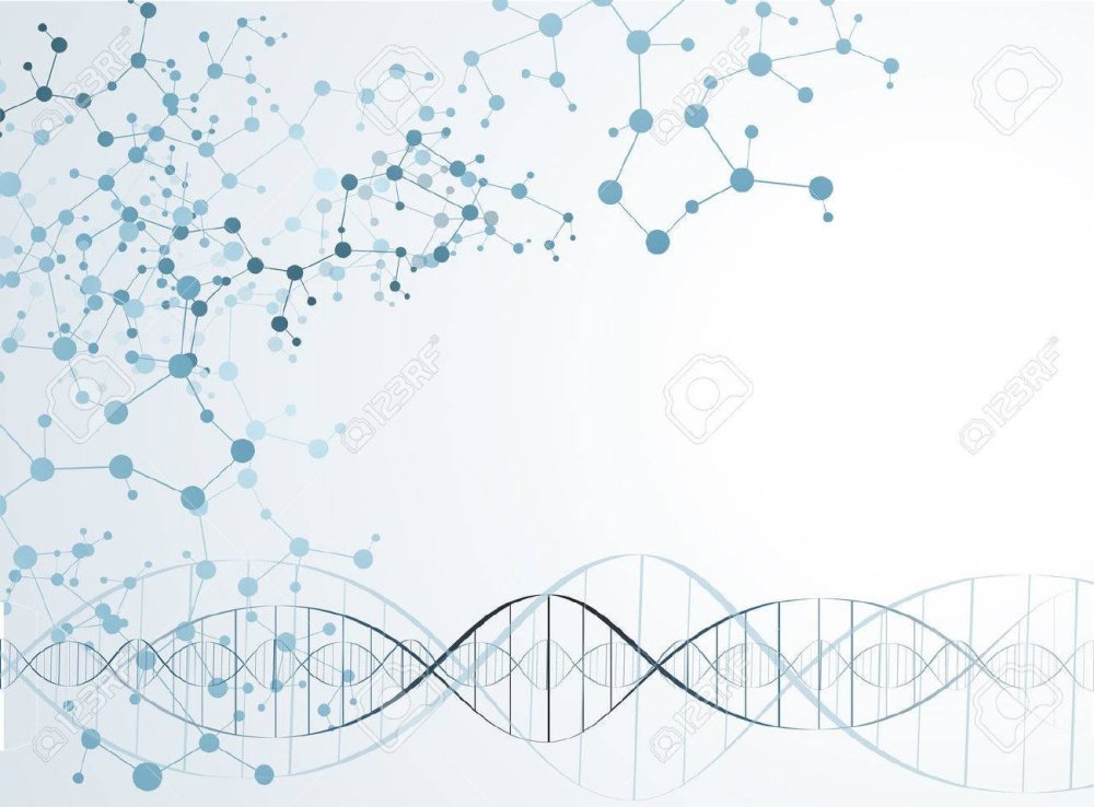 ДНК вектор фон