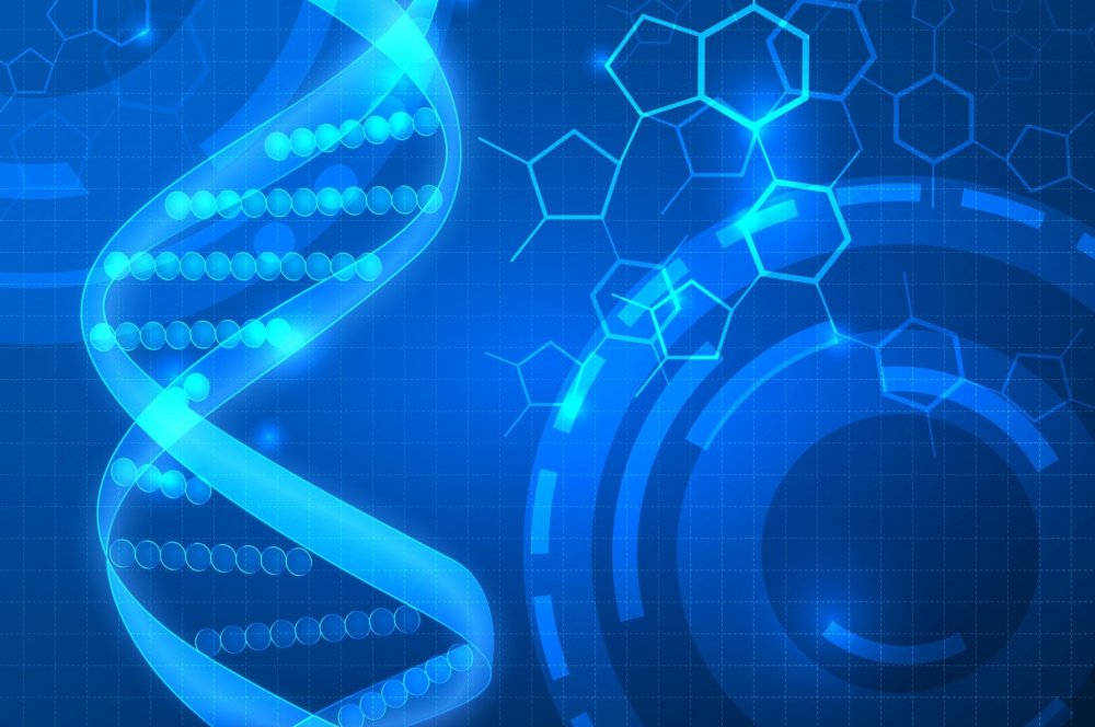 Голубое ДНК