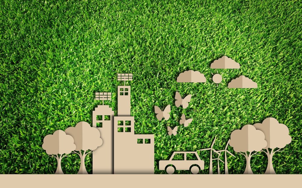 Экология фон