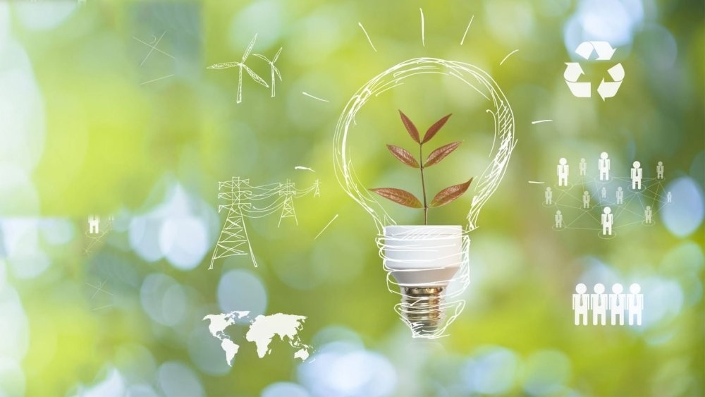 Экологический фон