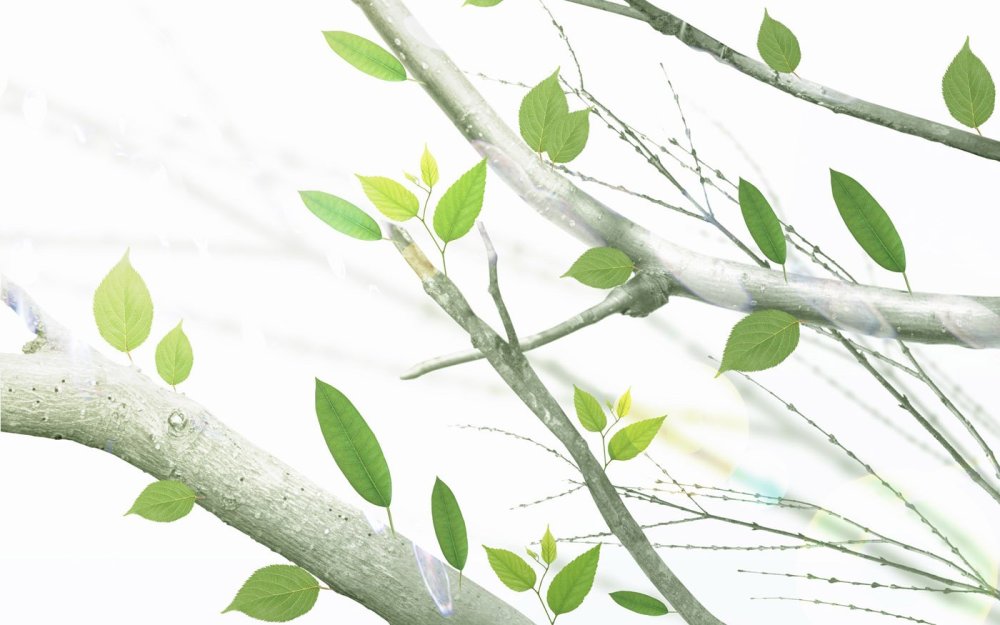 Рамка растения