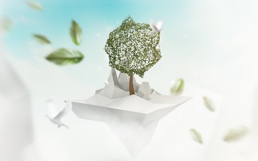 Экология Минимализм