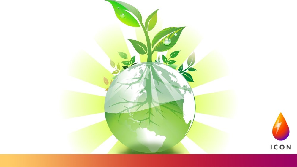 Зелень Минимализм