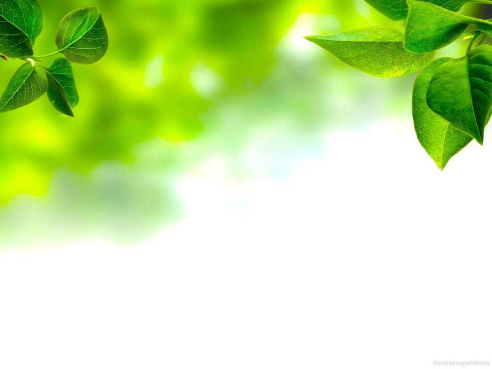 Экология на прозрачном фоне