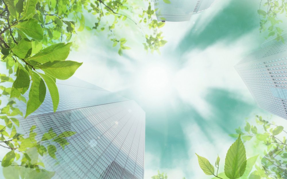 Фон для экологического проекта