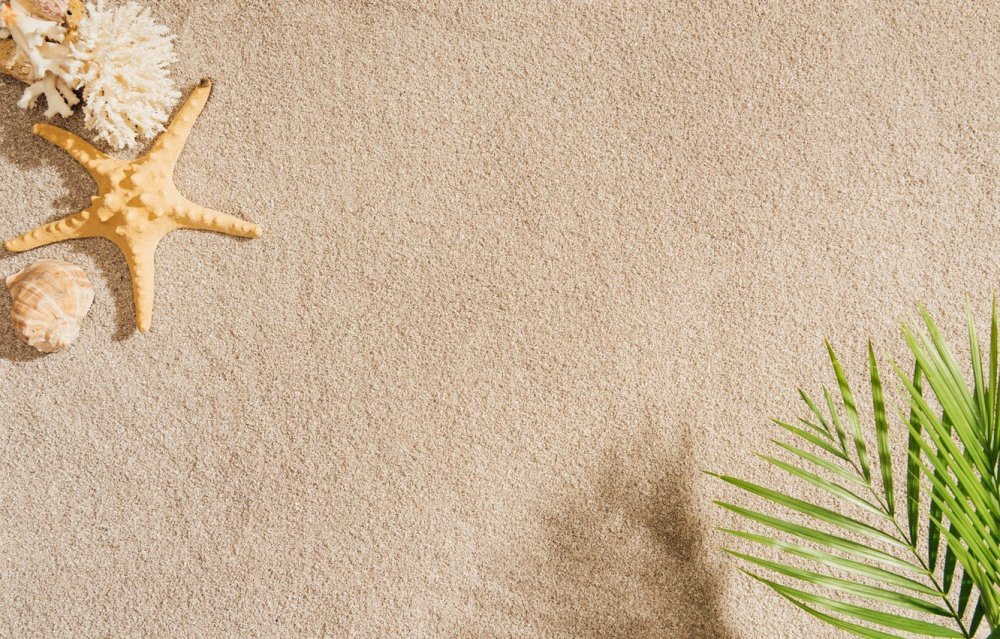 Море ракушки пальмы