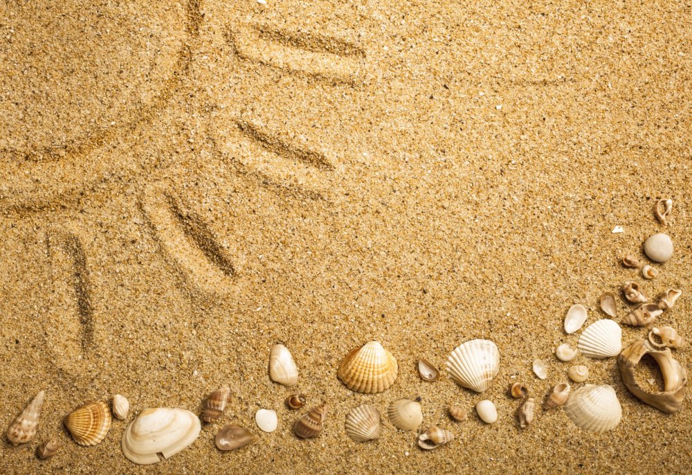 Хургада ракушечный песок