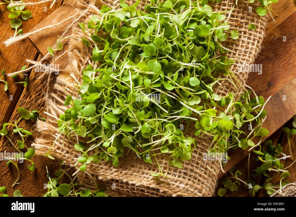 Лист микрозелени