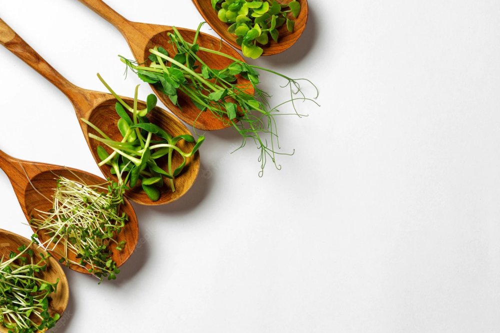 Микрозелень в ложке