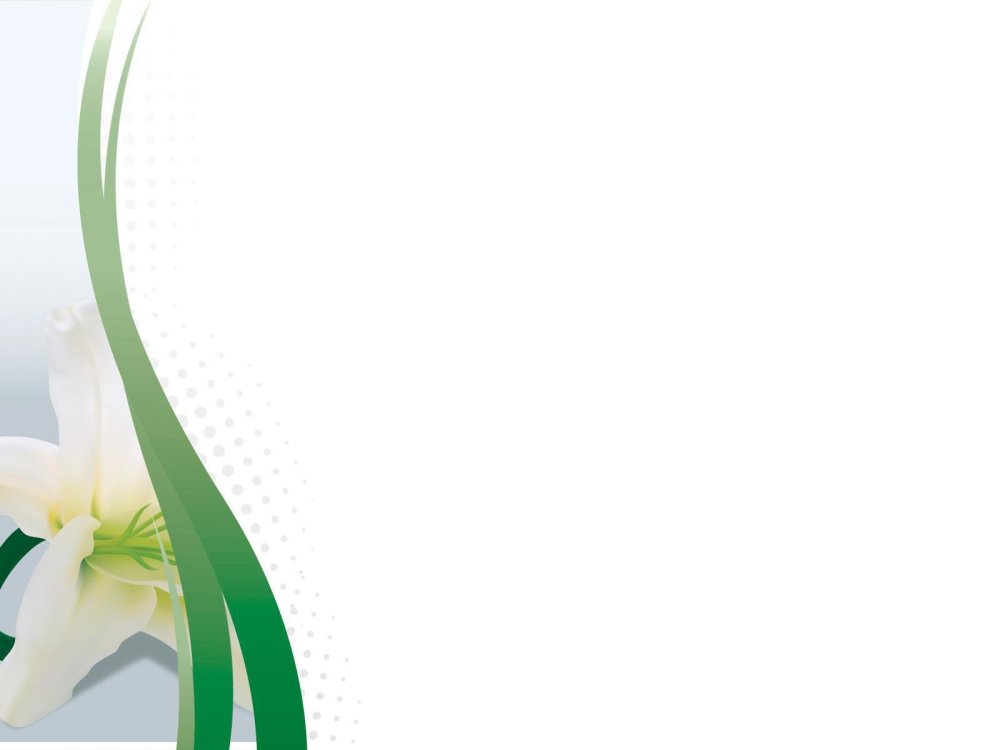 Цветы для слайда в презентации