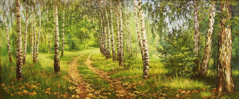 Утро в берёзовом лесу покушкева