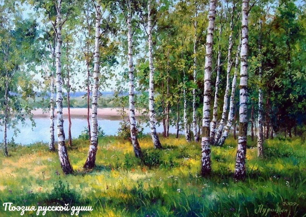 Российские просторы березы Есенин