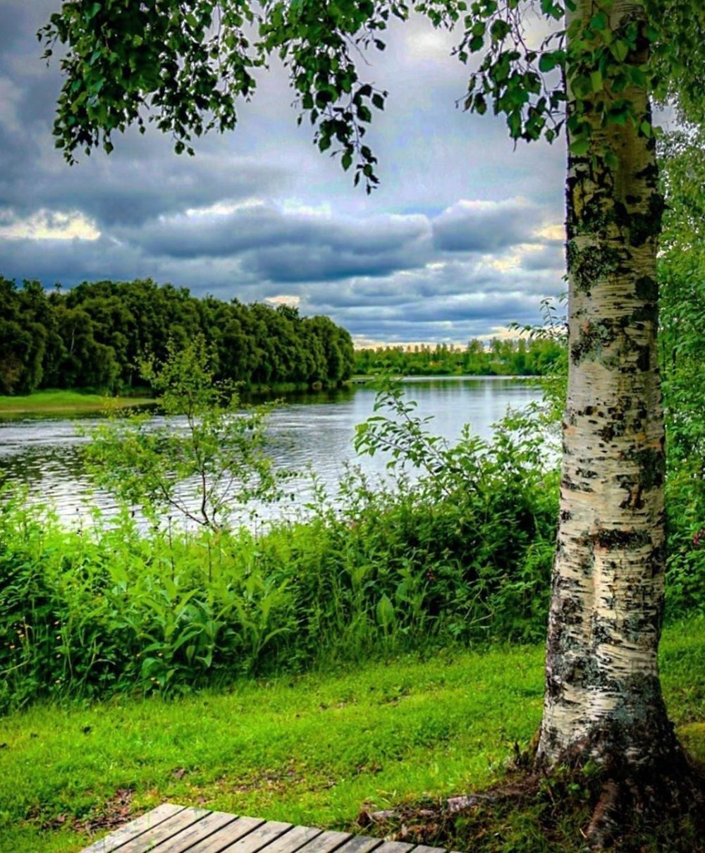 Родные просторы России