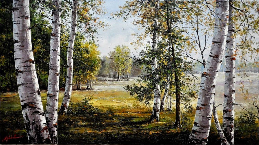 Поле на фоне леса