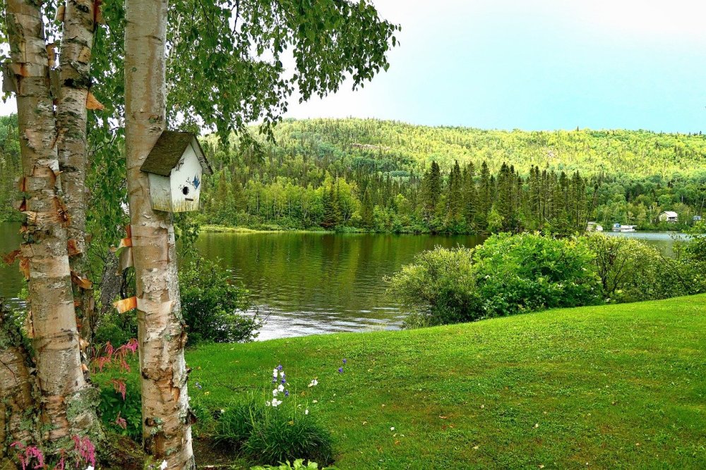 Волжские просторы в живописи .