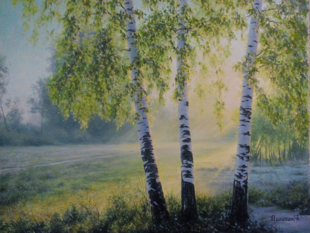 Картины лето пейзаж