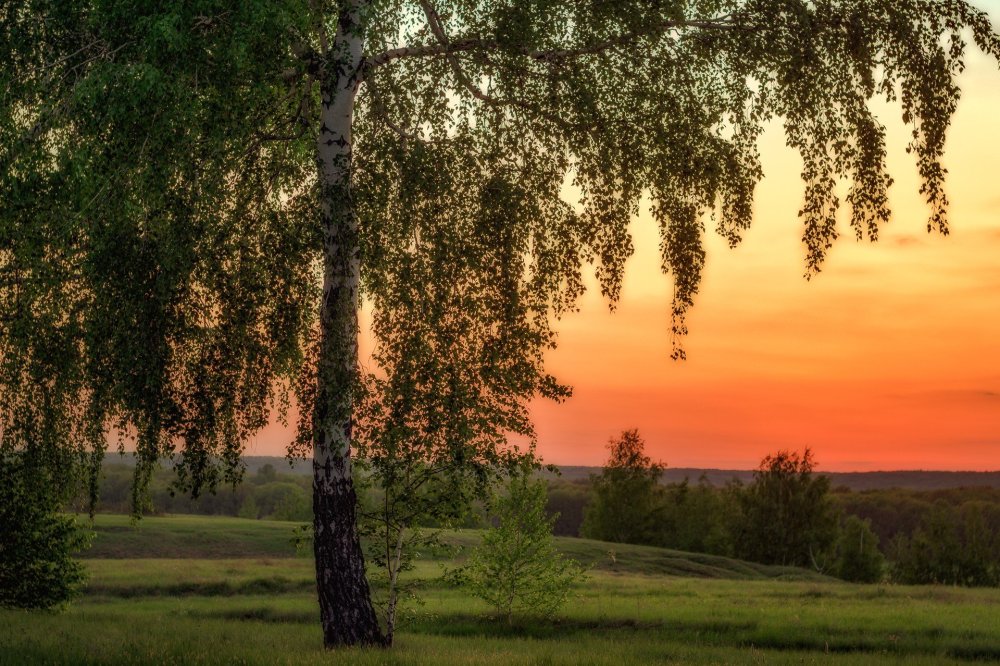 Деревня живопись Курицын