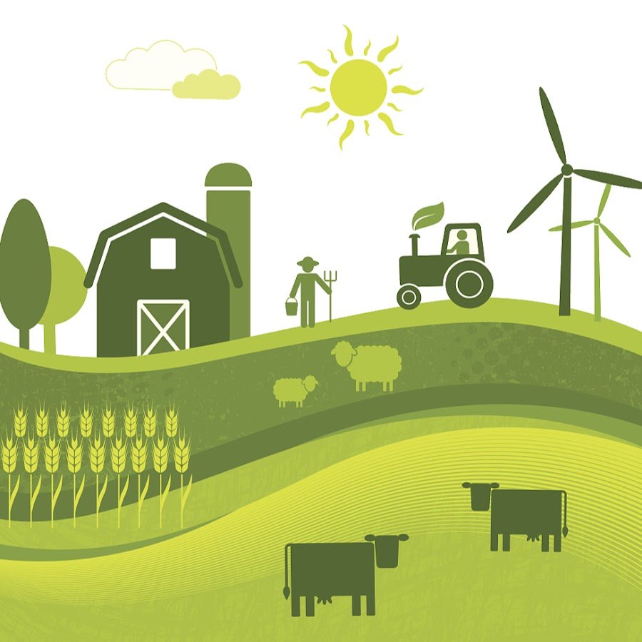 Сельская местность вектор