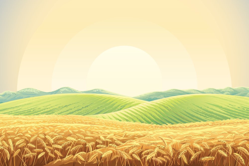 Сельская местность без фона