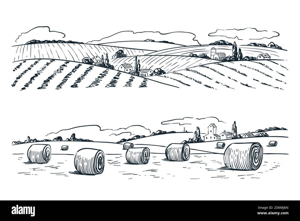 Мульт фон поле зерно Амбар