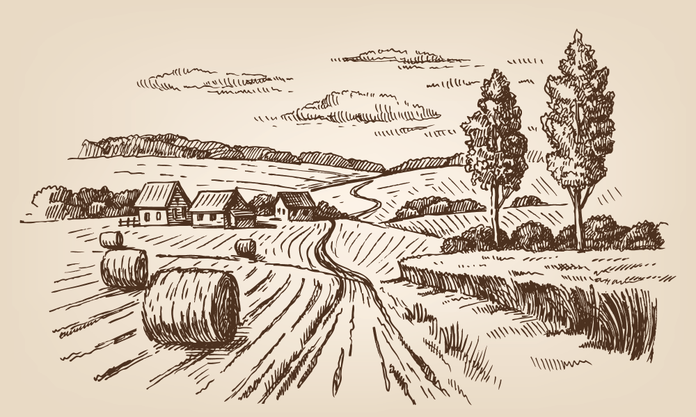 День фермера