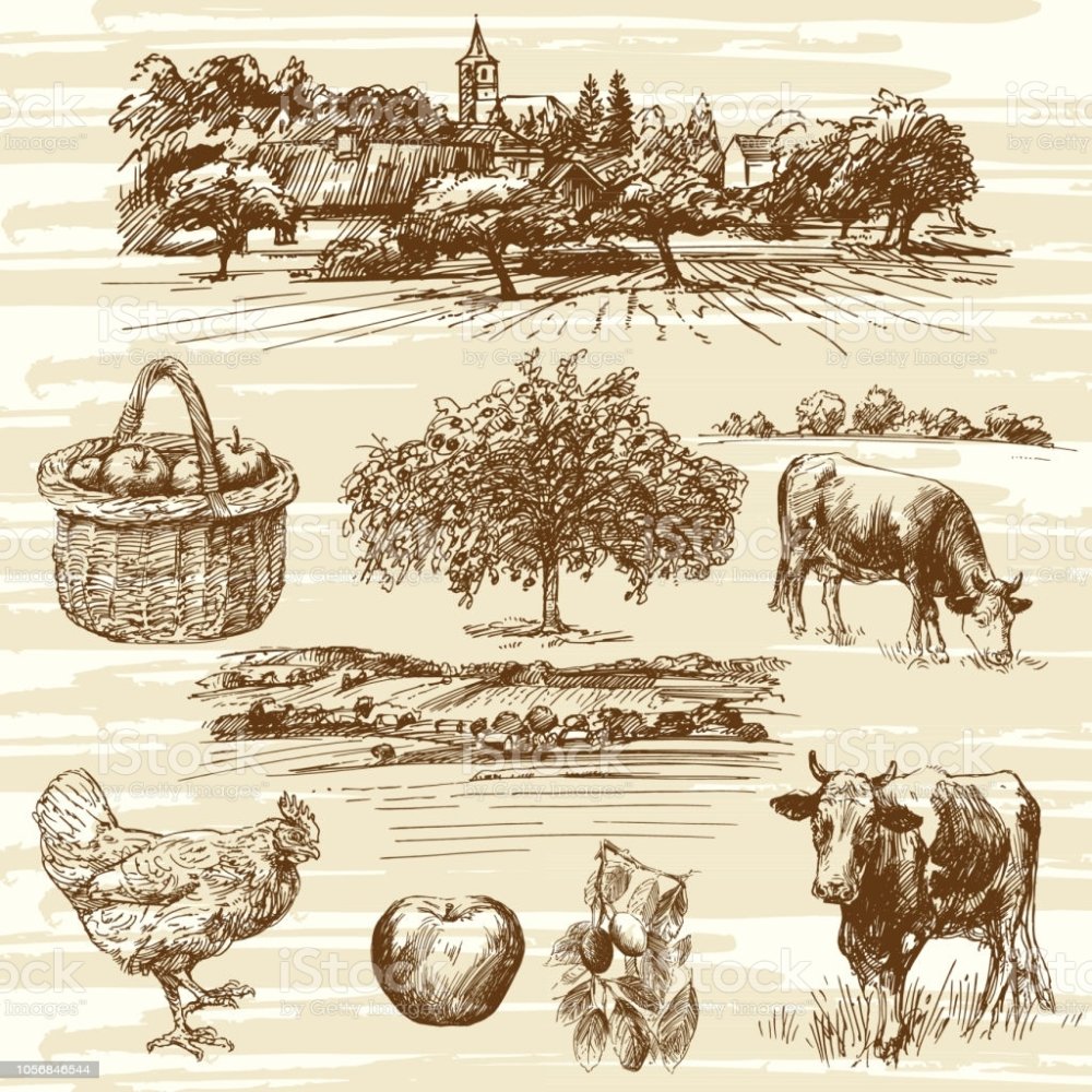 Сельское хозяйство вектор