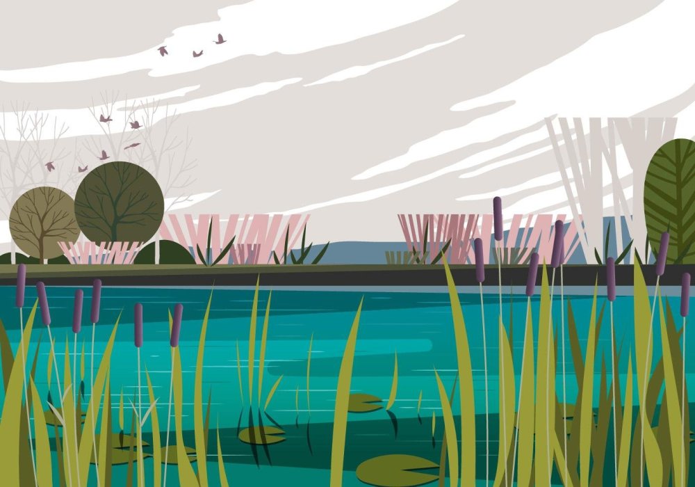 Озеро Векторная Графика