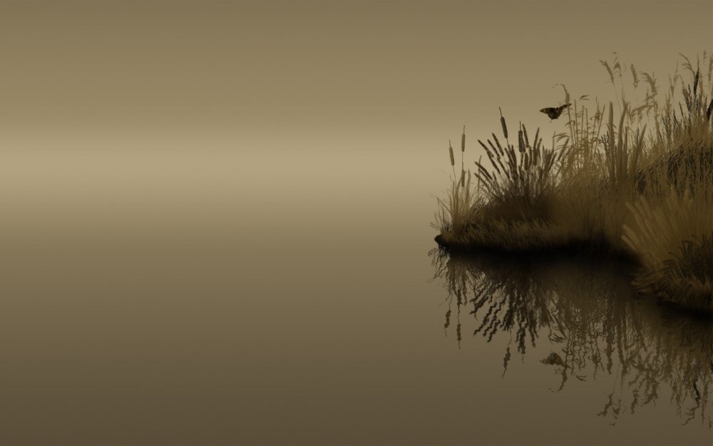 Темный Минимализм в природе