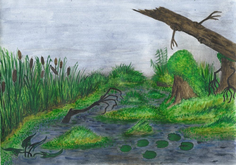 Болото для дошкольников