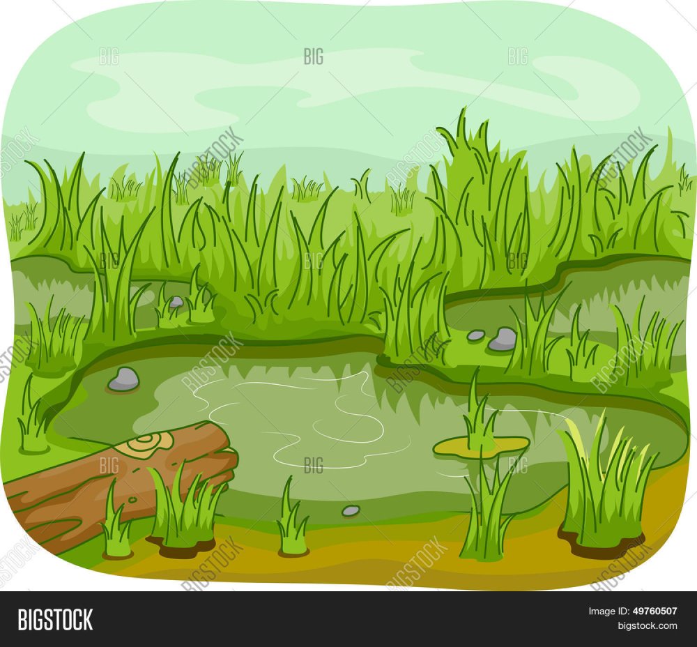 Болото для детей