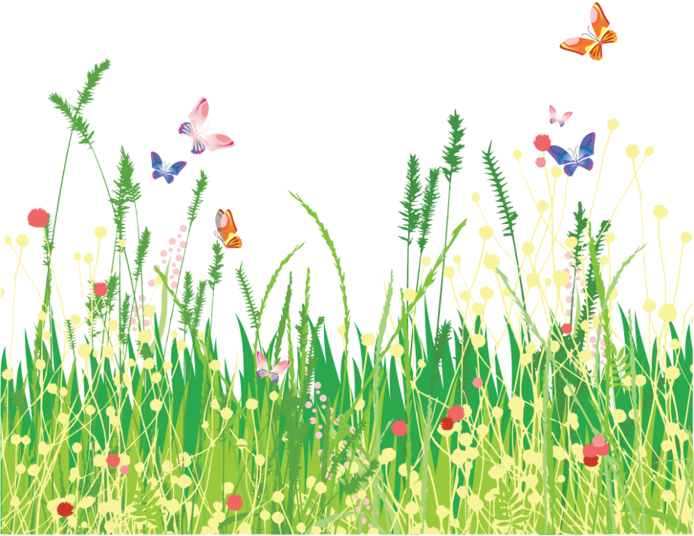 Трава с цветами на прозрачном фоне