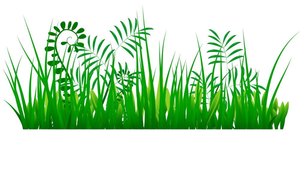 Трава рисунок