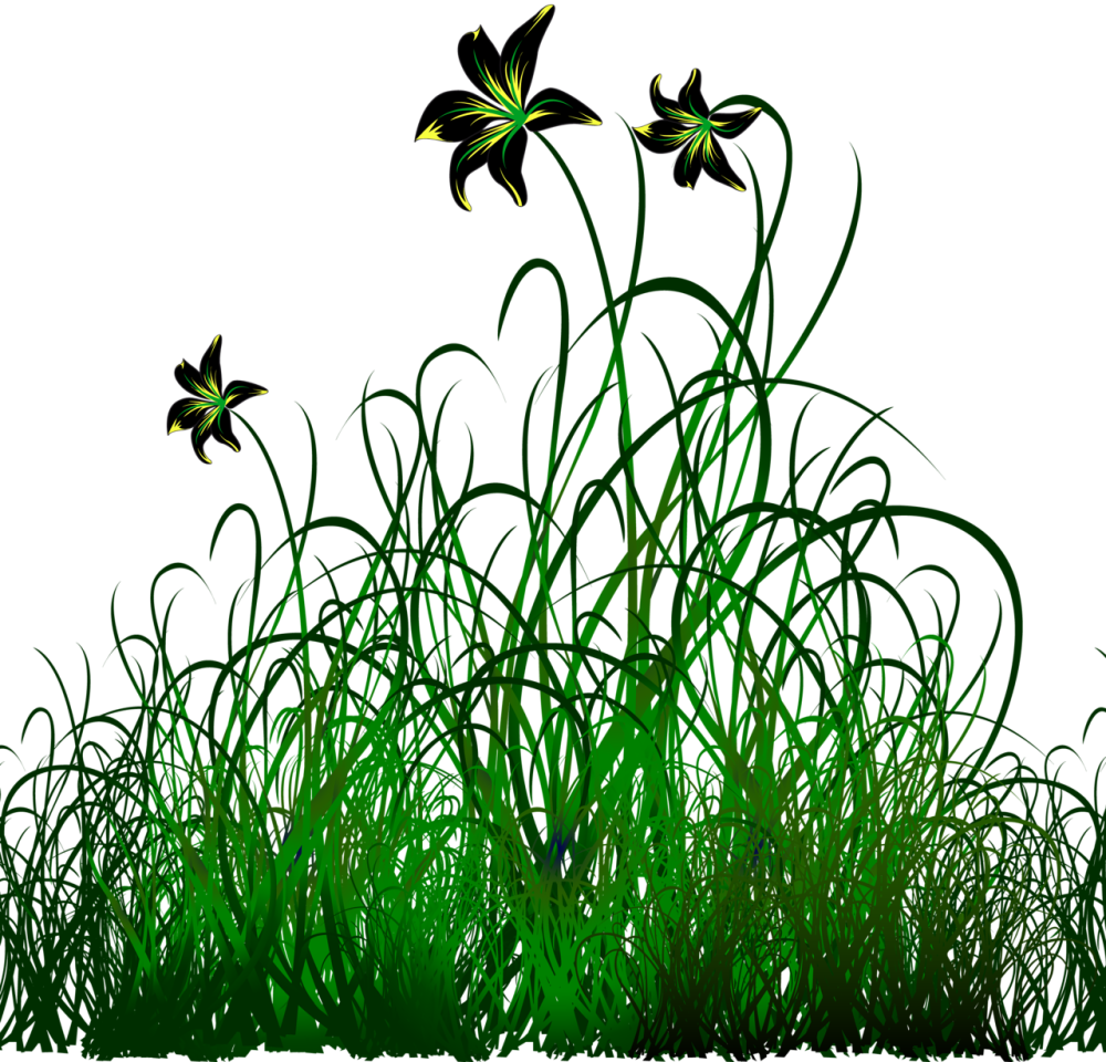 Трава рисунок