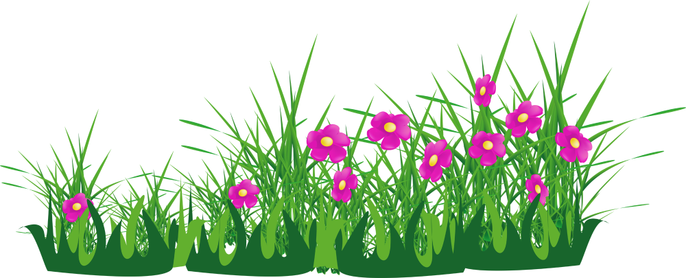 Цветы клумба вектор
