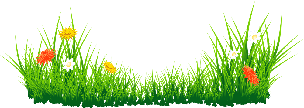 Травка с цветочками