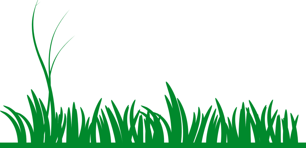 Трава в мультфильмах