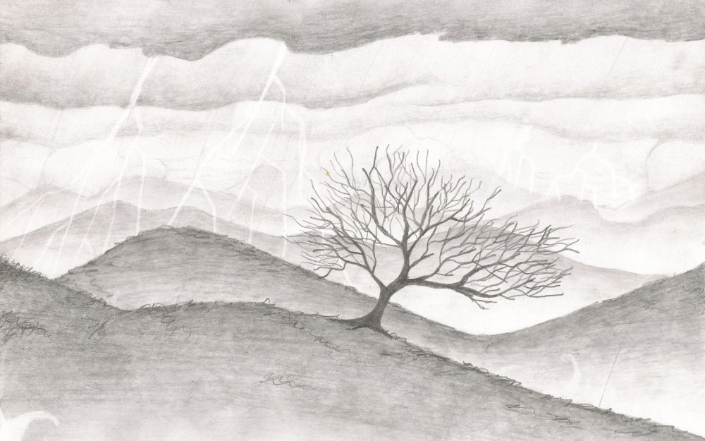 Скетчи природы карандашом