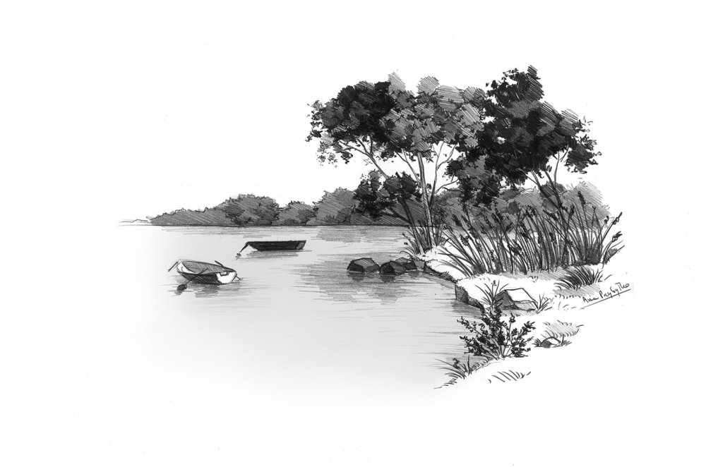 Лес лайнарт