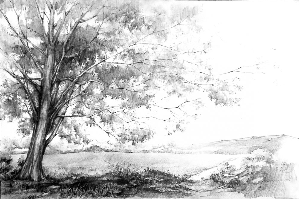 Скринтон травы