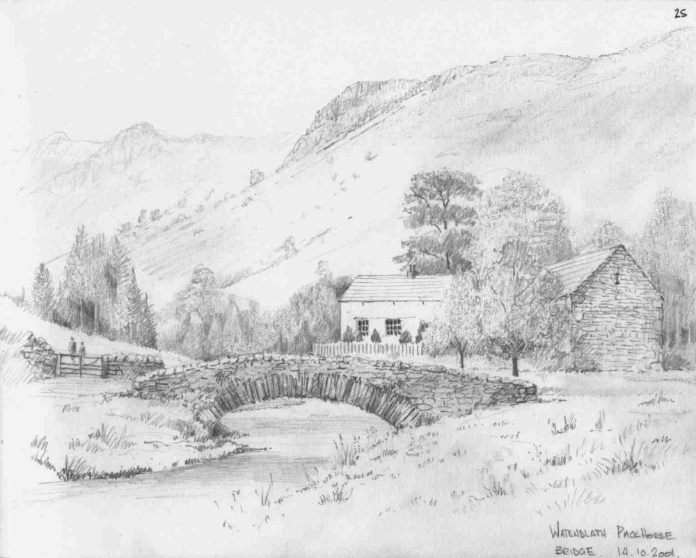 Зарисовки природы