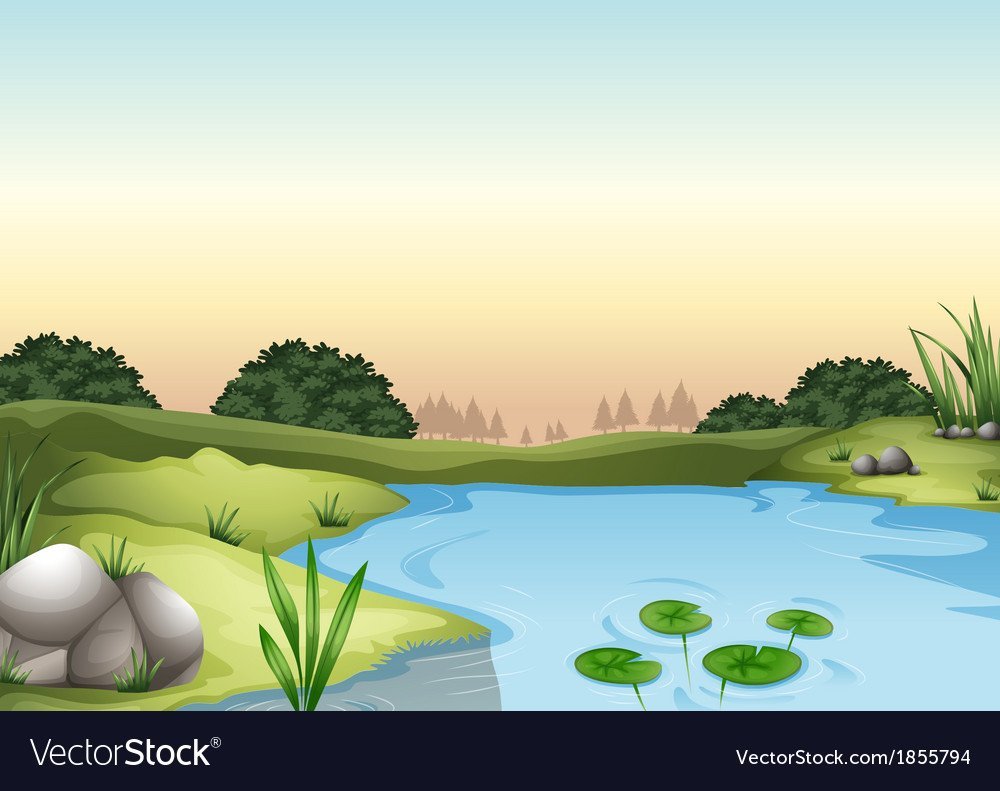 Мультяшный берег пруда